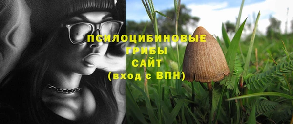 соль курить ск Алексеевка
