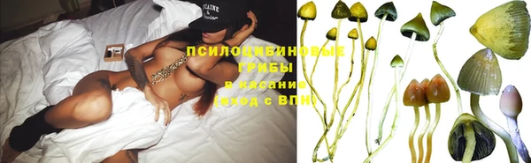 амф Алзамай