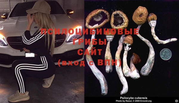 амф Алзамай