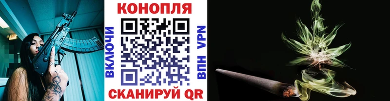Бошки Шишки планчик  Кирс 
